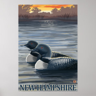 Póster Mergulhão-do-norte novo de HampshireCommon