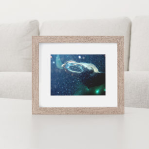 Póster Mergulhe com os Raios Manta - A Grande Ilha