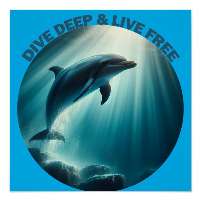 Póster Mergulhe Dolphin Livre Ao Vivo (Frente)