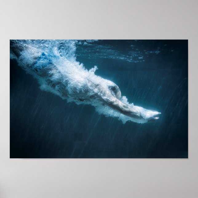 Poster mergulho (Frente)