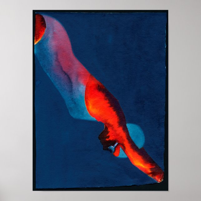 Póster Mergulho 2011 (Frente)