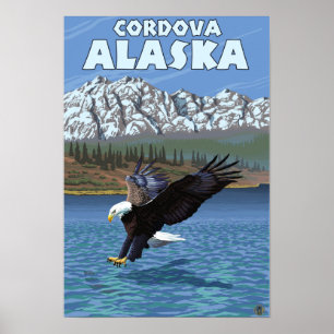 Poster Mergulho da águia americana - Cordova, Alaska