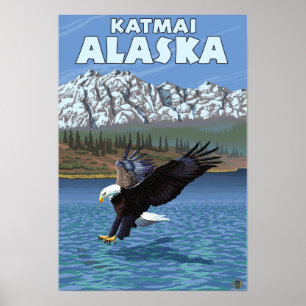 Póster Mergulho da águia americana - Katmai, Alaska