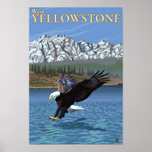 Póster Mergulho da águia americana - Yellowstone