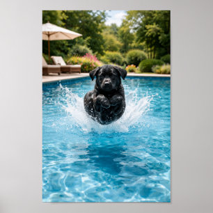 Poster Mergulho de Filhote de Labrador Preto