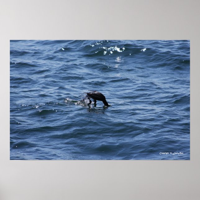 Póster Mergulho em baixo (Frente)