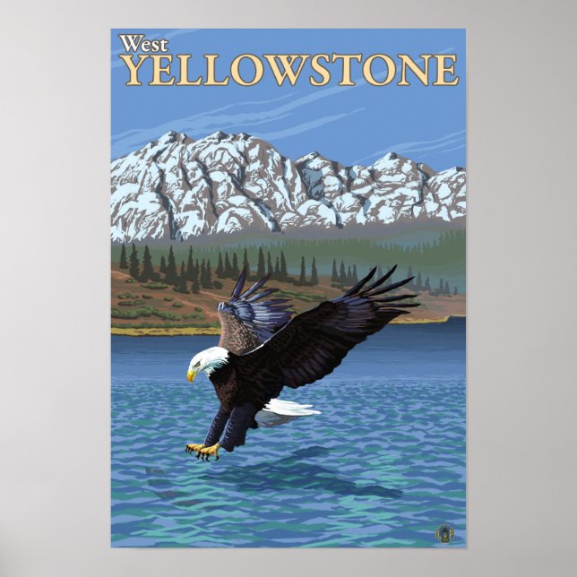 Póster Mergulho na águia calva - West Yellowstone, MT (Frente)