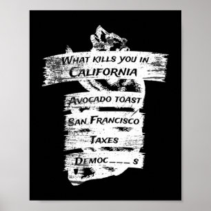 Poster Merica Humor America Funny California