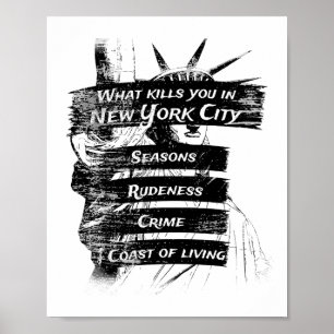 Poster Merica Humor America USA Funny Patriotismo Nova Yo