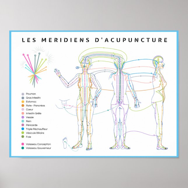 Poster Méridiens d'Acupuncture, médecine chinoise (Frente)