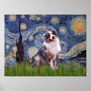 Póster Merle Aussie Shep - Noite Estrelada