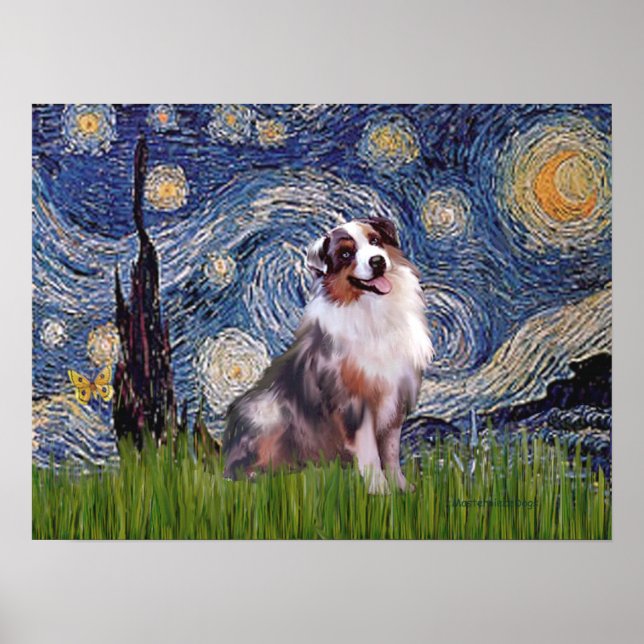 Póster Merle Aussie Shep - Noite Estrelada (Frente)