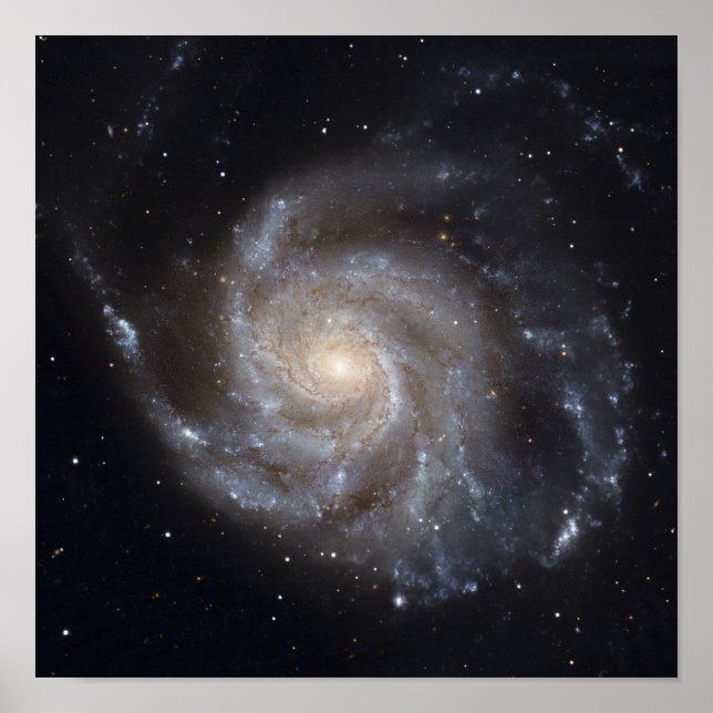 Póster Messier 101, a Galáxia PinWheel (Frente)