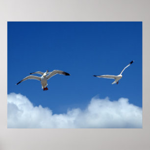 Poster Mestrado de vento