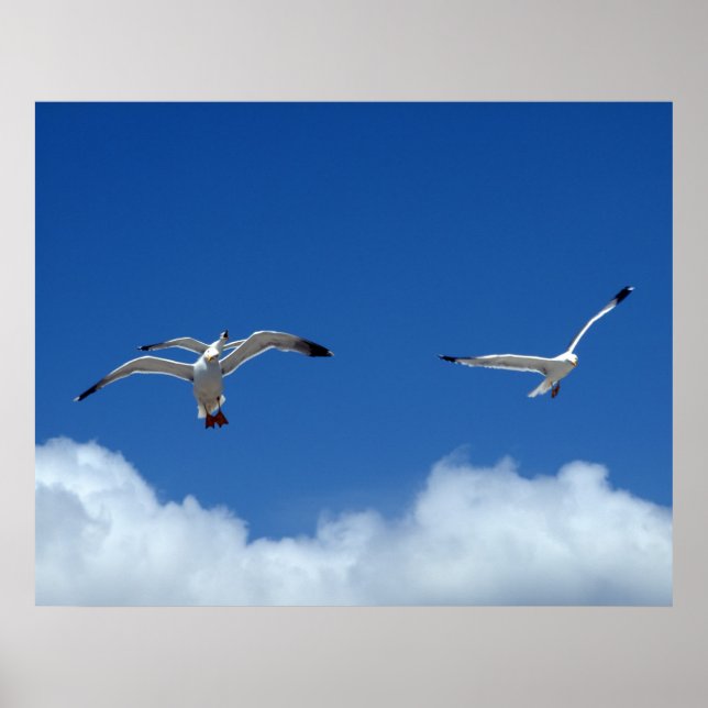 Poster Mestrado de vento (Frente)