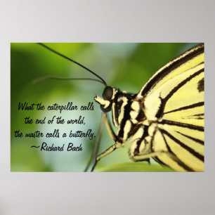 Poster mestre da borboleta