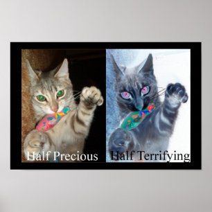 Poster Metade e meio