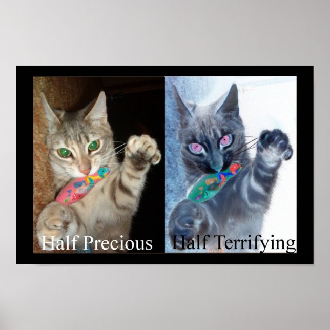 Poster Metade e Metade (Frente)