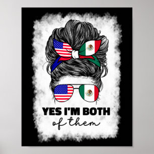 Poster Metade Mexicano E Americano México América Bandeir
