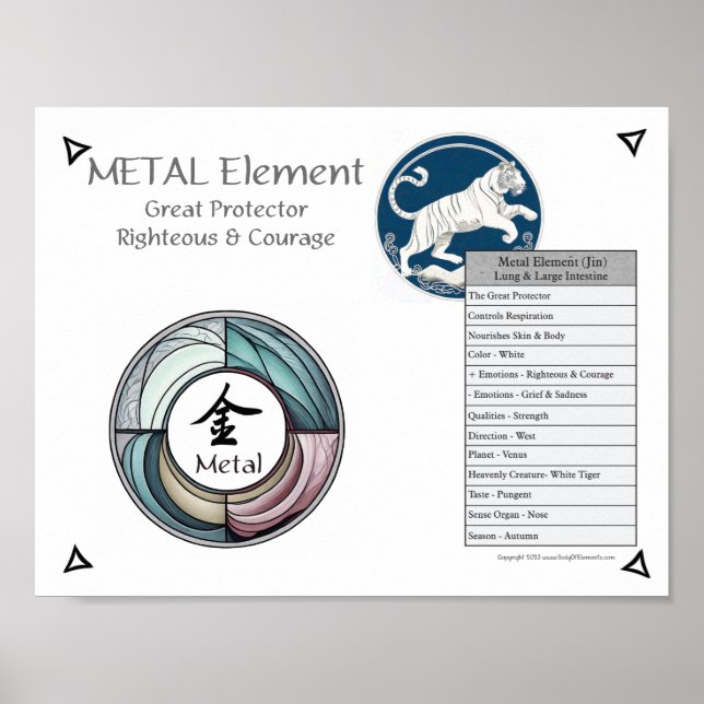 Poster Metal Element Acupuncture (Frente)