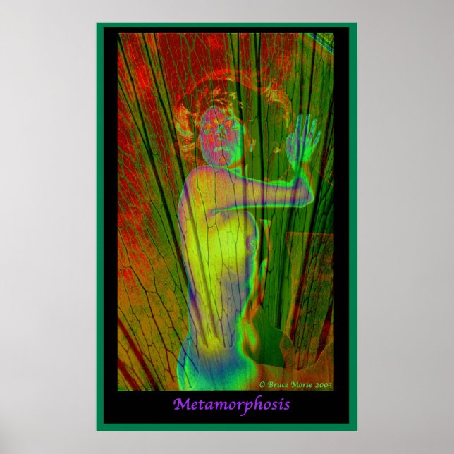 Poster Metamorfose (Frente)