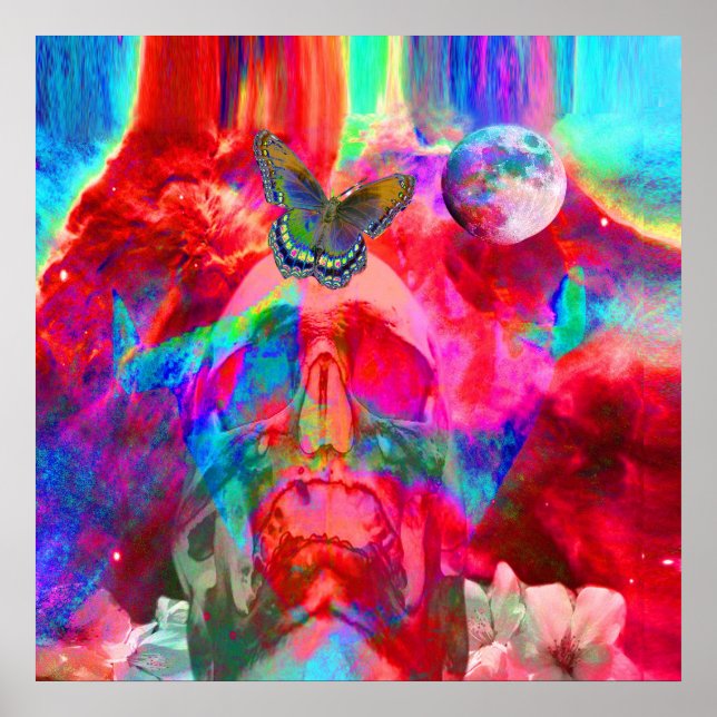 Póster Metamorfose de vida (Frente)