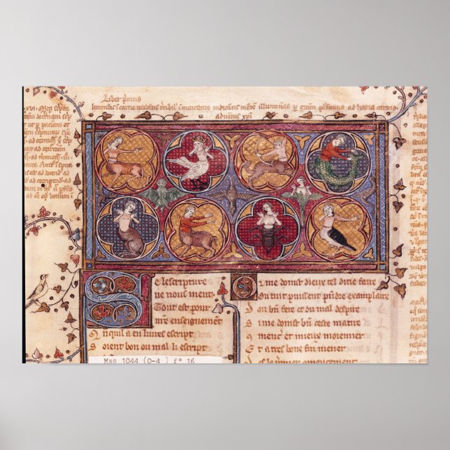 Póster Metamorfoses, de Ovid Moralize (Frente)