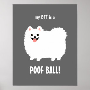 Poster Meu BFF é uma BOLA Pomeranian do POOF -