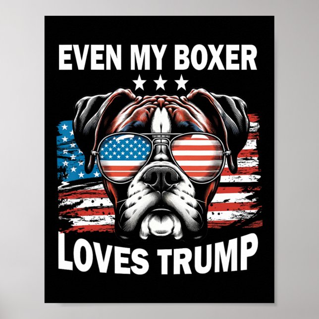 Poster Meu Boxer ama Trump (Frente)