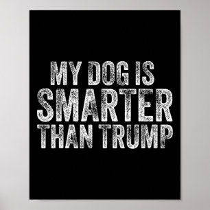 Poster Meu Cachorro É Mais Inteligente Que Trump Engraçad