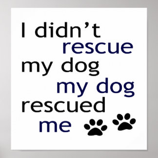 Póster Meu Cachorro Me Resgatou Deco De Arte