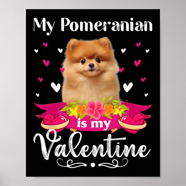 Poster Meu Cachorro Pomeraniano É Meu Namorados Por Um Lo (Frente)
