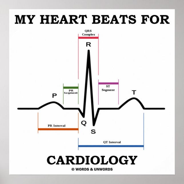 Póster Meu Coração Batida Para Cardiologia (ECG / EKG) (Frente)