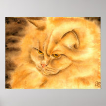 Meu ginger cat favorito