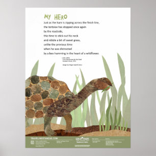 Póster Meu herói
