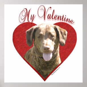 Poster Meu Namorados Chessie