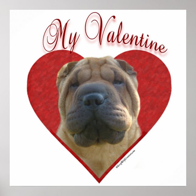 Poster Meu Namorados chinês Shar-Pei (Frente)