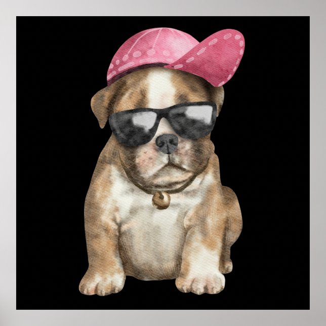 POSTER MEU PET LEGAL (Frente)