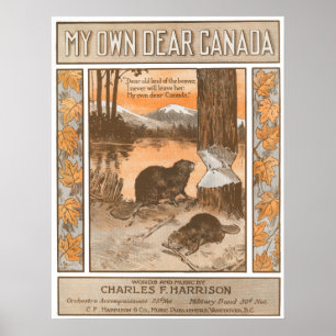 Póster Meu próprio caro Canadá