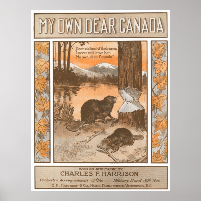 Póster Meu Próprio Caro Canadá (Frente)