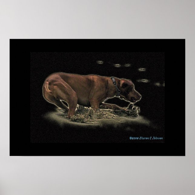 Póster Meu Rhett (Frente)