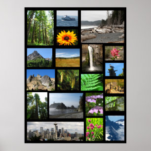 Póster Meus lugares do favorito