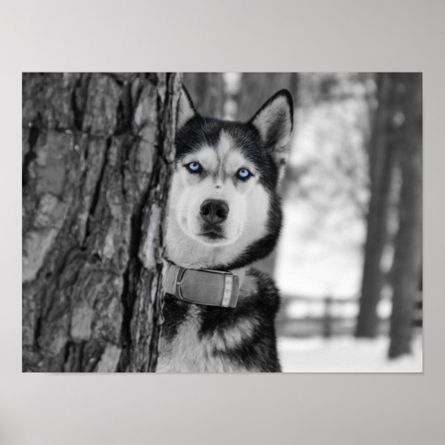 Póster Meus Olhos Azuis (Frente)