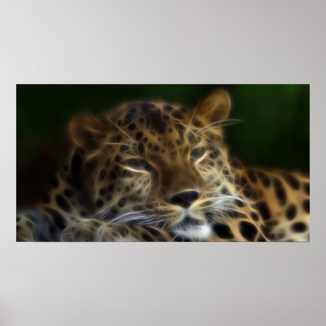 Póster Meus últimos dias na Terra... Arte (Frente)