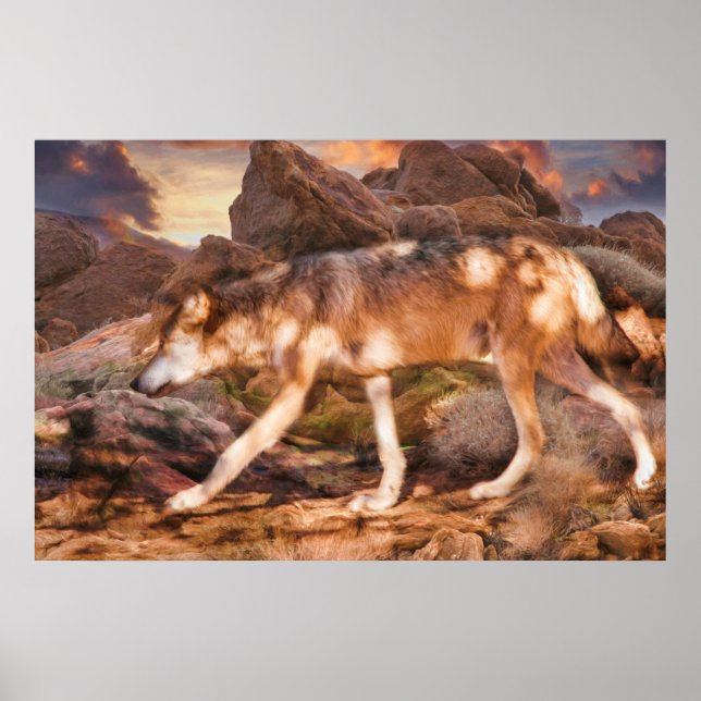 POSTER MEXICAN RED WOLF DESERT TREK (Frente)