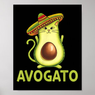 Poster Mexicano Avogatos Cinco De Mayo Fiesta Party Men W