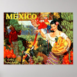 Poster México das viagens vintage