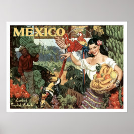 Poster México, mulher com frutas tropicais e papagaios