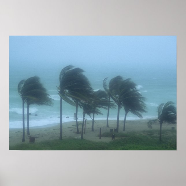 Póster Miami Beach, Flórida, ventos de furacão açoitando (Frente)