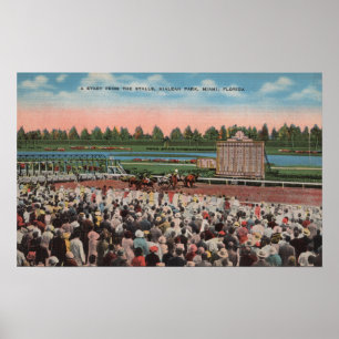 Póster Miami, FL - vista do parque de Hialeah com cavalo